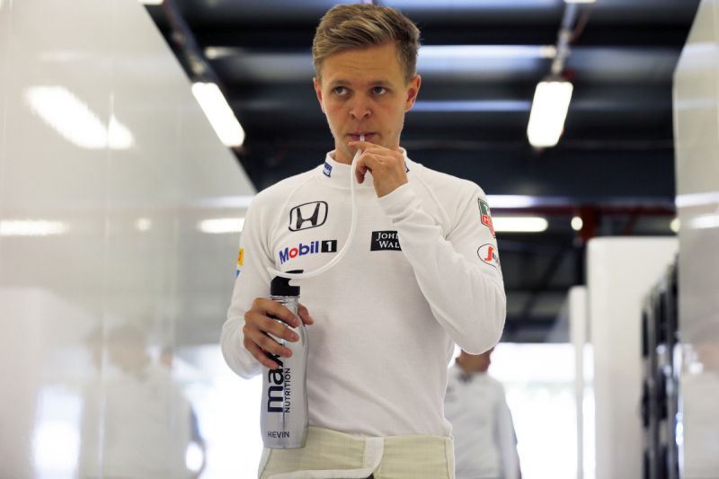 magnussen_2015_