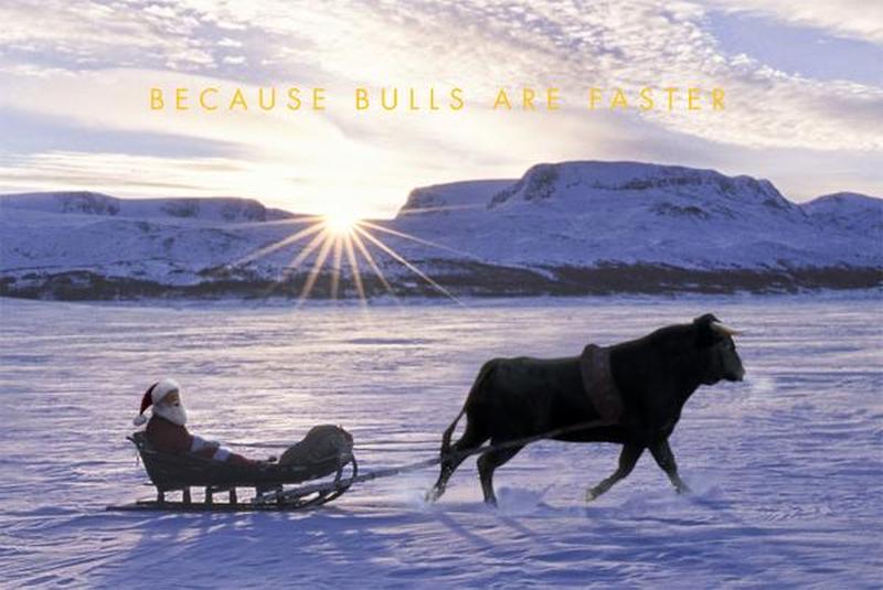 pf_bullsfaster_1