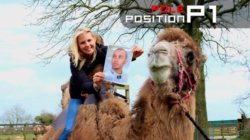 pf_camel_bahrein