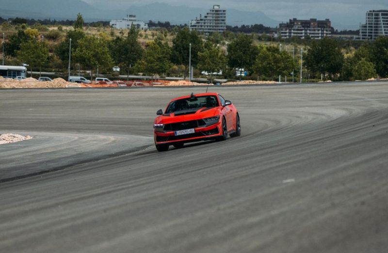 sainz-madring.jpg