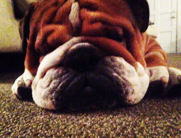 Roscoe-2