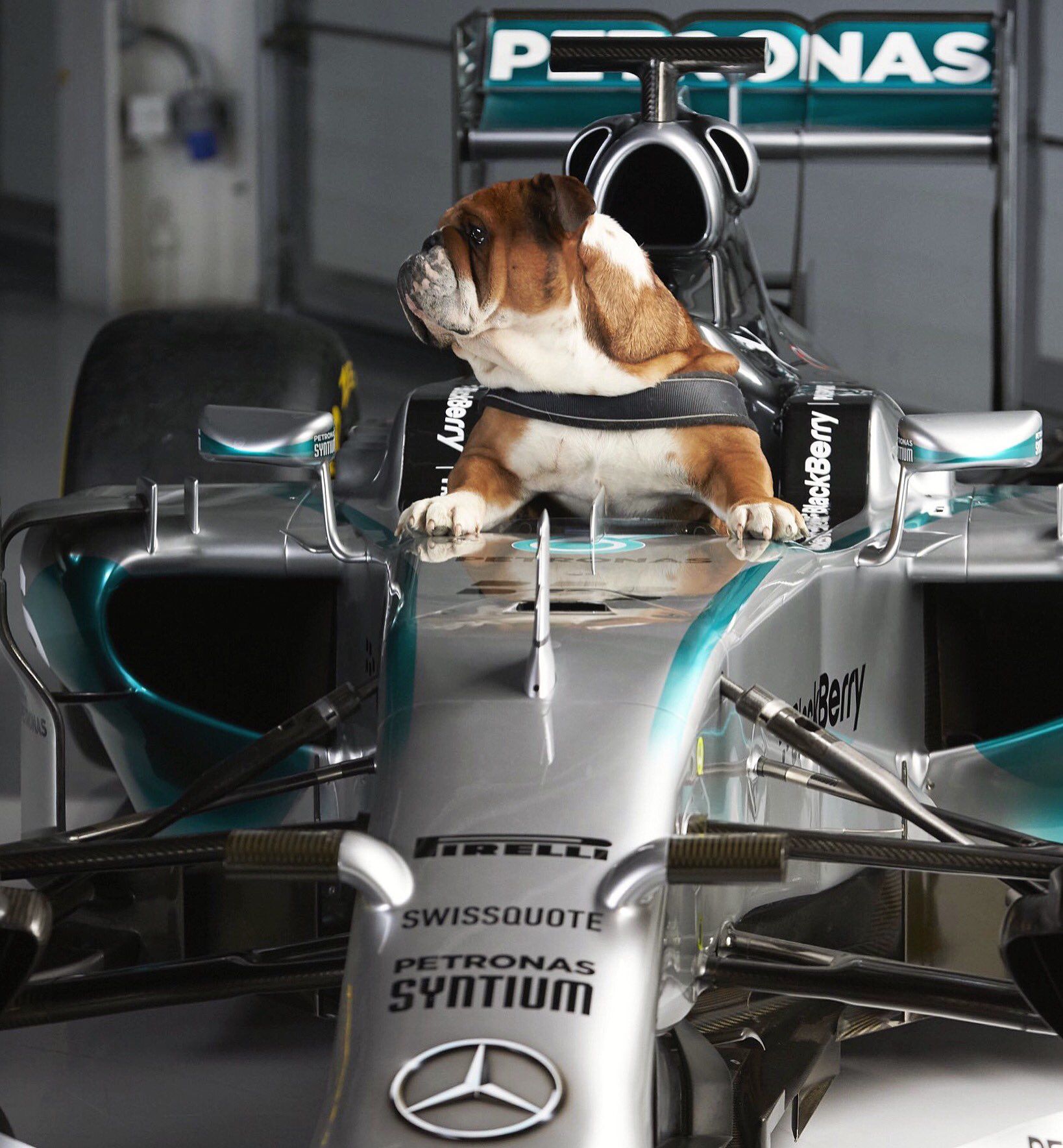 hamilton-rosberg-roscoe