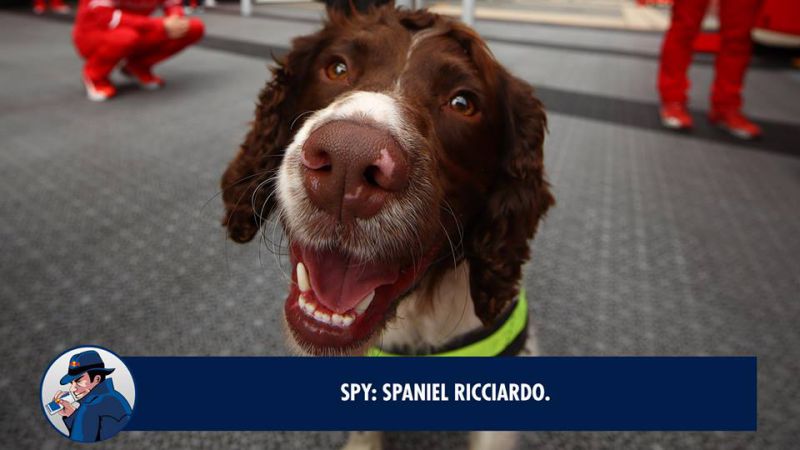 20106619_1453081584738326_2950205749211119081_n