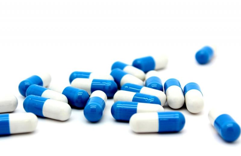 https-_bioboxaruhaz.hu_ - 2025 november - Cikk3