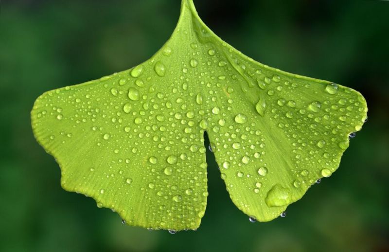 https-usamedical.hu - 2025 október - Cikk 1