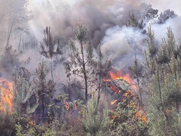 Paddonfire