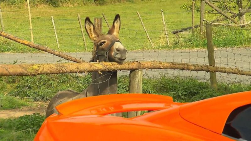skynews-carrot-mclaren-donkey_4114241