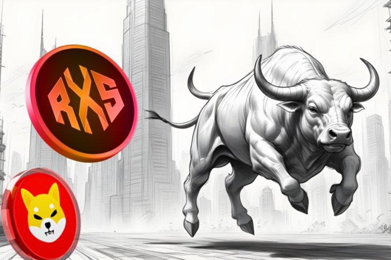 bullrun