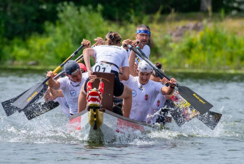 Sárkányok_resize másolata