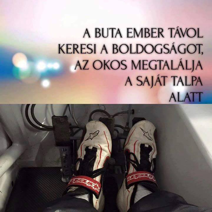 pf_talp