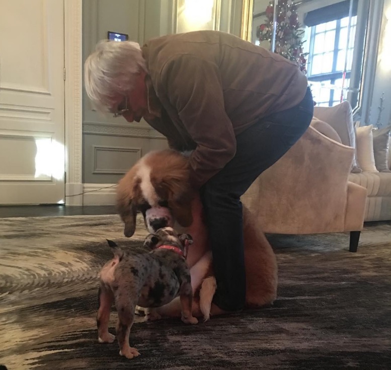 pf-bernie