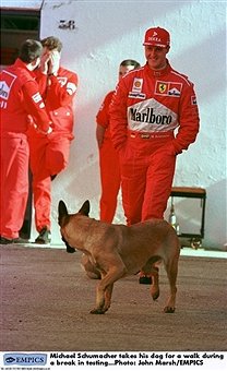 pf-f1-dog-1